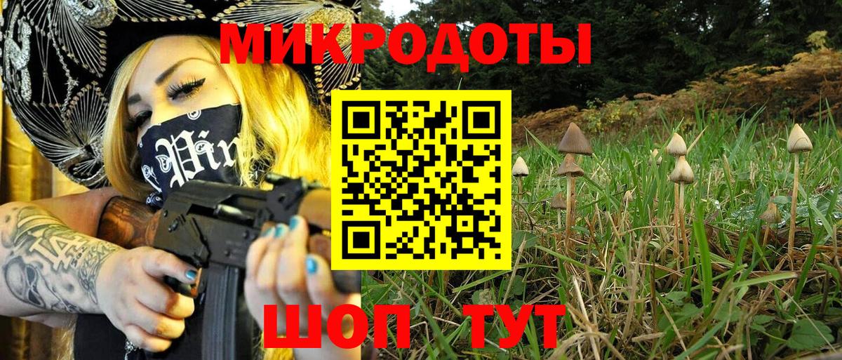 Галлюциногенные грибы Cubensis Нефтекумск