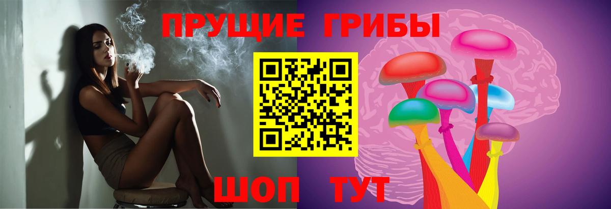 Галлюциногенные грибы прущие грибы  Вход с VPN  Нефтекумск 