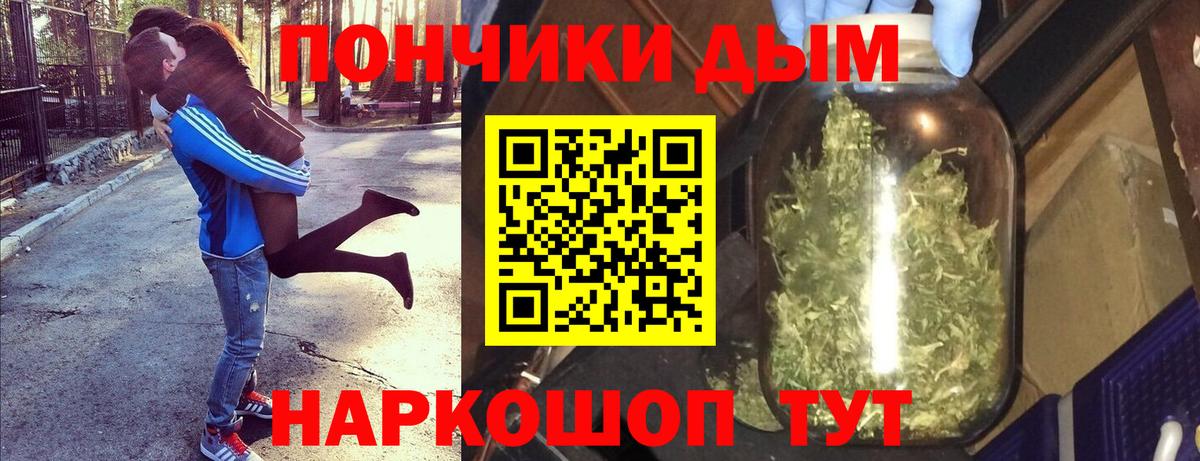 Шишки марихуана планчик Нефтекумск